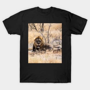 Lion in the sun. T-Shirt